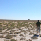 Mongólia felé félúton…