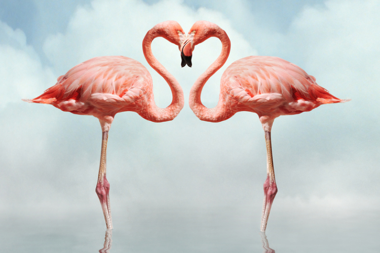 A férfiak kétszer gyakrabban gondolnak pajzánkodásra, mint a nők?