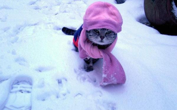 Hogyan hat a szervezetünkre a hideg? 