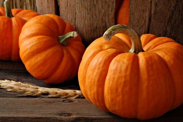 Ez TÖK őrület!- háromfogásos vacsora sütőtökből