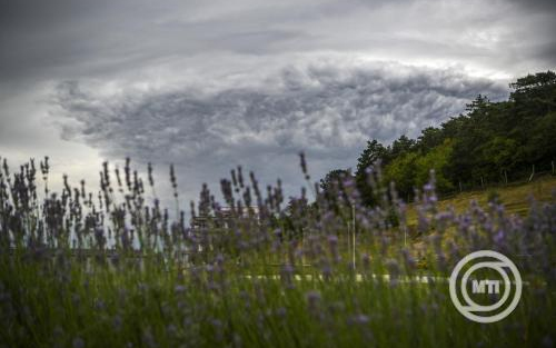 Másodfokú riasztást adtak ki viharos széllökések veszélye miatt egyes dunántúli járásokra
