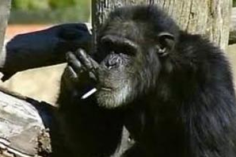 Texasban börtön jár, ha hatnál több a vibrátor - avagy a leghülyébb törvények