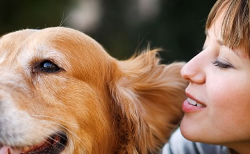 Hogy pasizz kutyával?