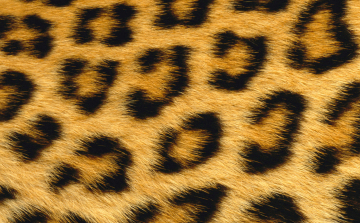 Penélope Cruz a szőrme ellen!