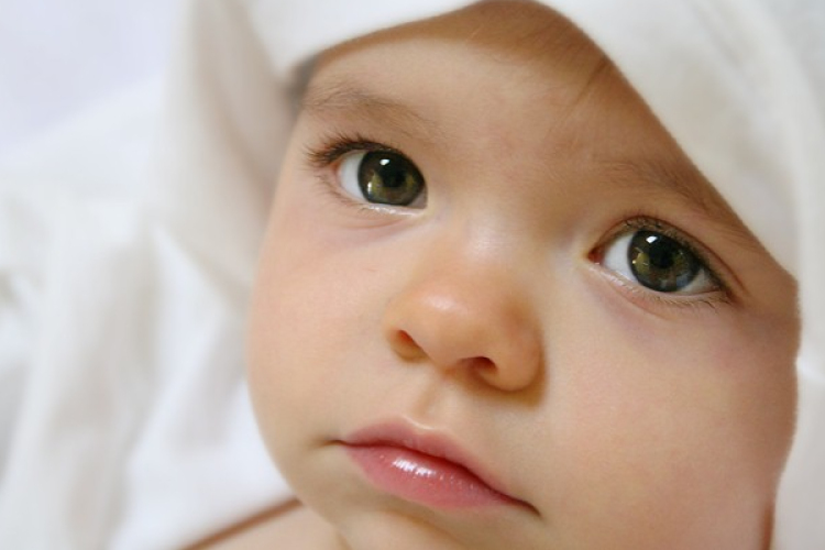 Fogyasztóvédelem: nem biztonságos a babakönyvek 25 százaléka