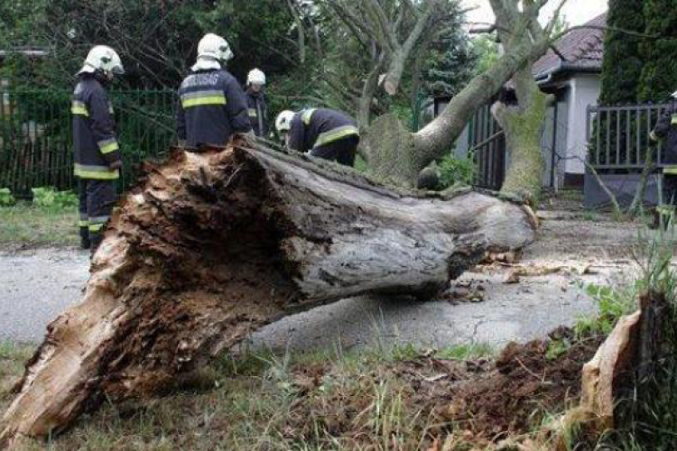 Vihar - Jelentős károkat okozott a vihar több városban