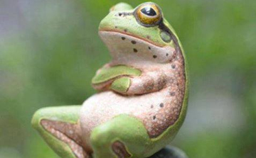 Sport, avagy recept téli depresszió ellen