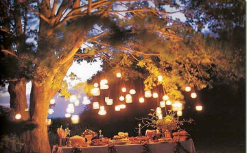 Kerti muri - nyár búcsúztató