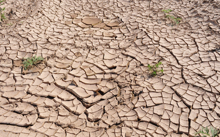 Agrometeorológia: az Alföldön csak lassan mérséklődik az aszály