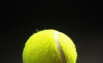 Roland Garros - A címvédő Alcaraz vár Marozsánra a második fordulóban