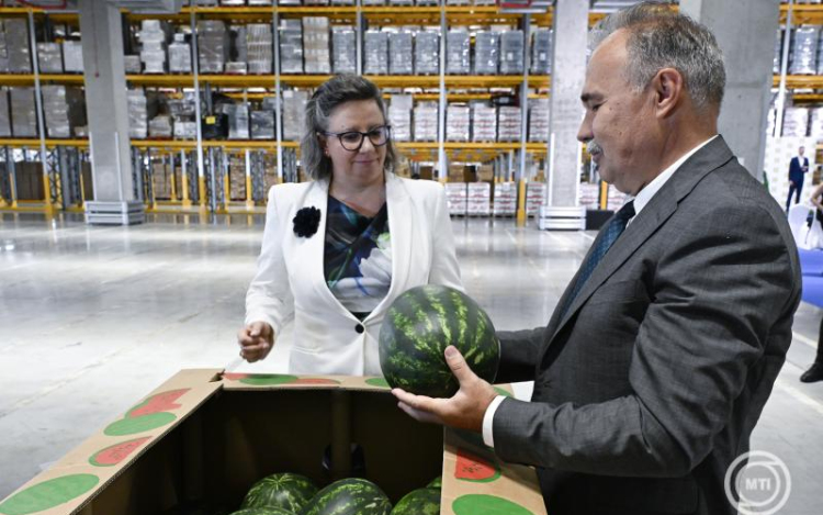Az agrárminiszter szerint jó minőségű a magyar dinnye