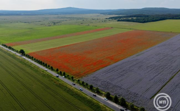 Agrometeorológia: nagy szükség lenne a májusi esőre