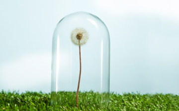 A túlérzékenység betegség?