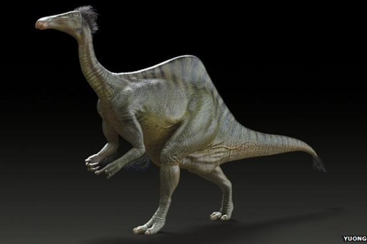 Megoldódott az óriáskarú dinoszaurusz fél évszázados rejtélye