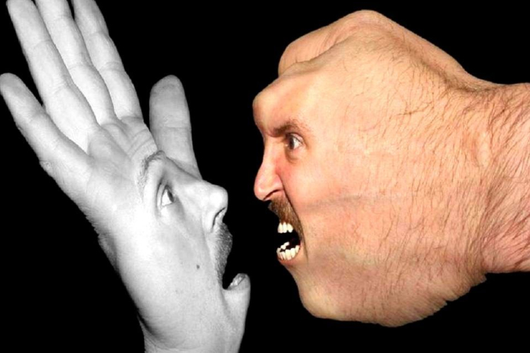 Tizenhét éven át vívott 'bozótharcot' egymással két szomszéd