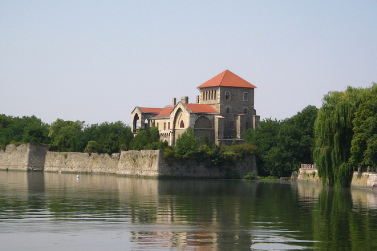 Európa Díjat kapott Tata