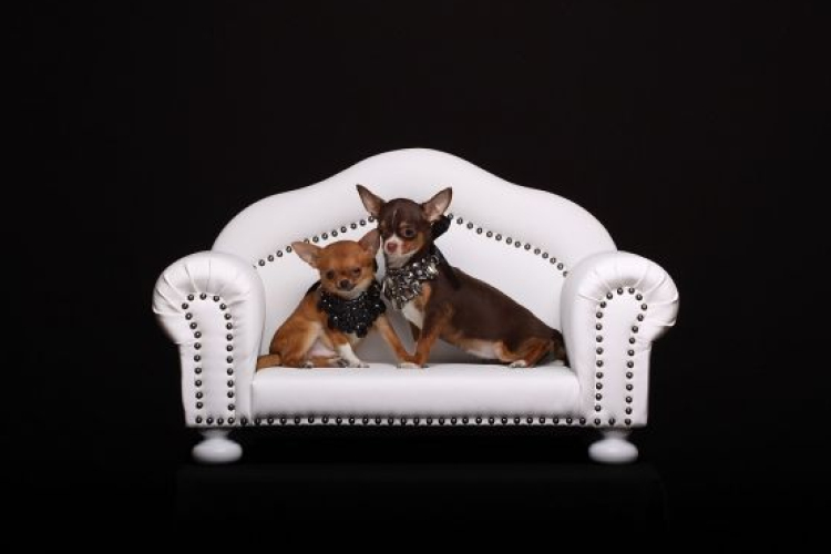 Állati jó fekhelyek!