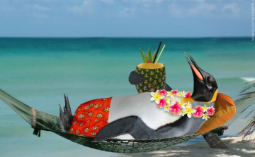 Nyugtató 5 perc alatt