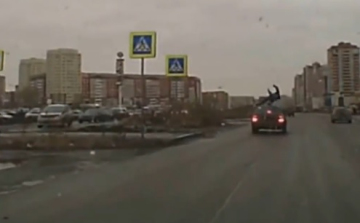 Elütötte az autó, kutya baja sem lett (videó)