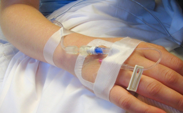 Eddig 41 ember betegedett meg feltehetően leptospirózisban Jász-Nagykun-Szolnok megyében