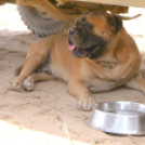 Mongólia felé félúton…