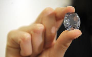 Állati tetemekből készítenek gyémántot