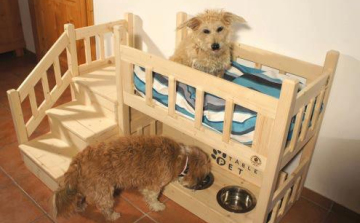 Hogy lesz szobatiszta a kiskutya, kismacska?