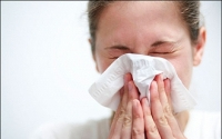 Az allergén gombák pollenszórása néhol nagyon magas szintre emelkedhet