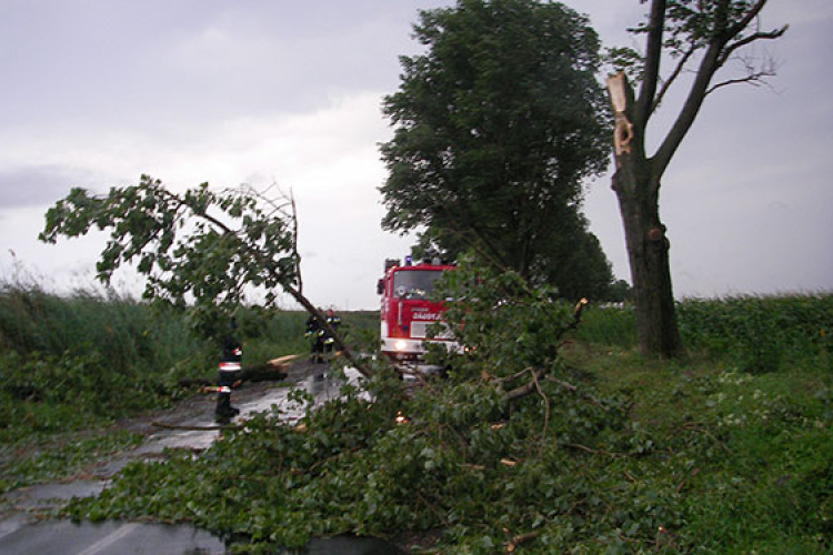 Fakidőlések miatt riasztották a tűzoltókat éjjel