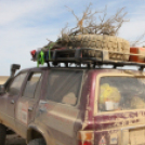 Mongólia felé félúton…