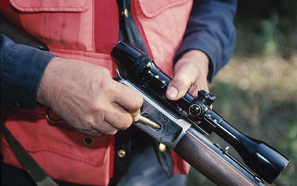 Egy 600 ezer forintot érő szarvasbikát lőtt ki egy orvvadász Somogyban