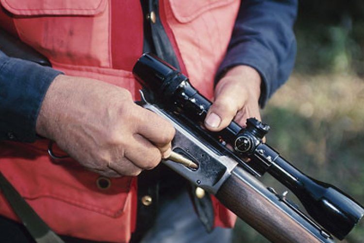 Egy 600 ezer forintot érő szarvasbikát lőtt ki egy orvvadász Somogyban